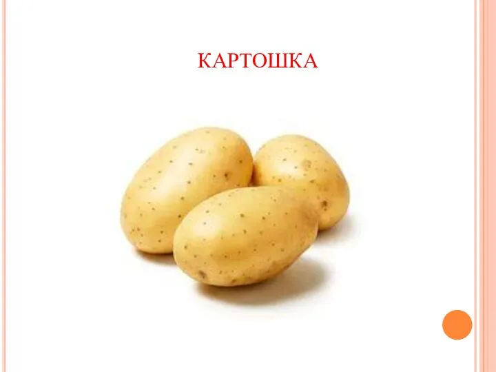 картошка