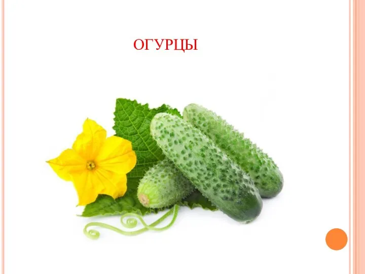 огурцы