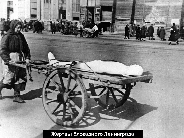 Жертвы блокадного Ленинграда
