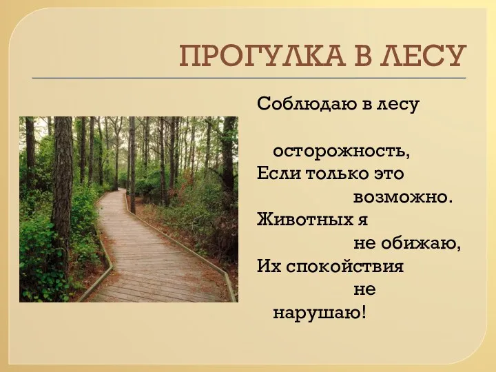 ПРОГУЛКА В ЛЕСУ Соблюдаю в лесу осторожность, Если только это возможно. Животных я