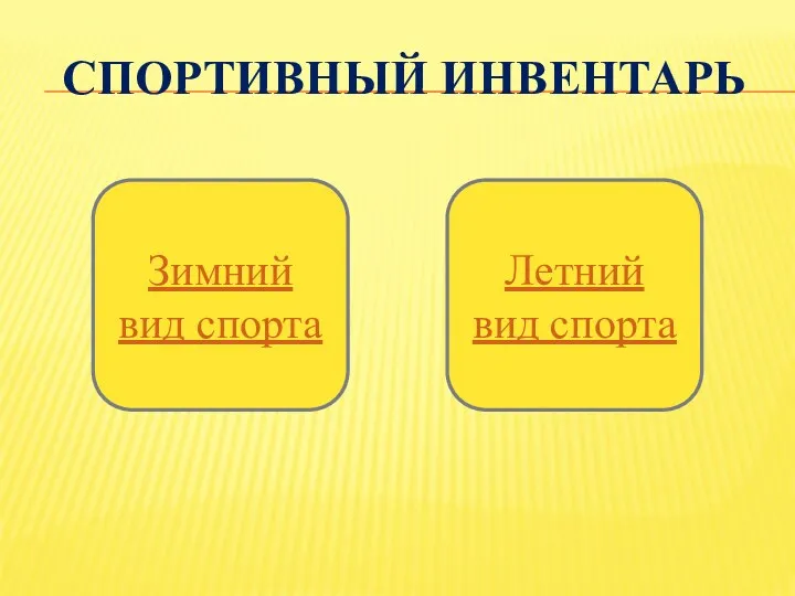 Спортивный инвентарь Зимний вид спорта Летний вид спорта