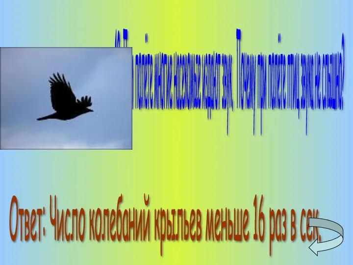 12. При полёте многие насекомые издают звук. Почему при полёте