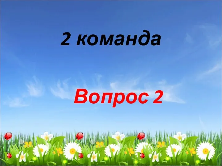 2 команда Вопрос 2