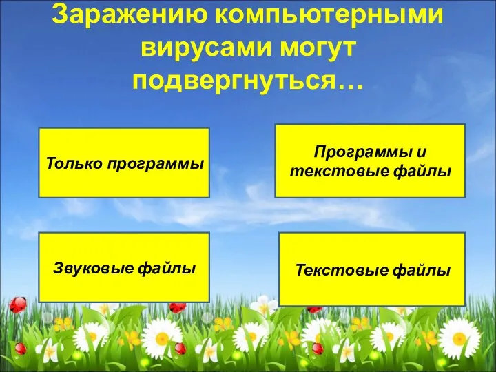 Заражению компьютерными вирусами могут подвергнуться… Только программы Программы и текстовые файлы Звуковые файлы Текстовые файлы