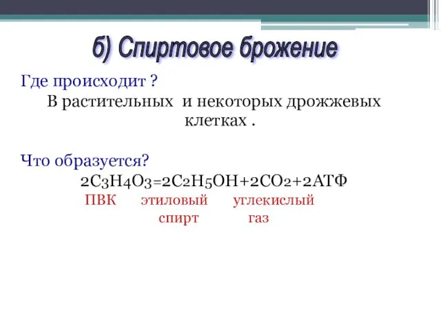 Где происходит ? В растительных и некоторых дрожжевых клетках .