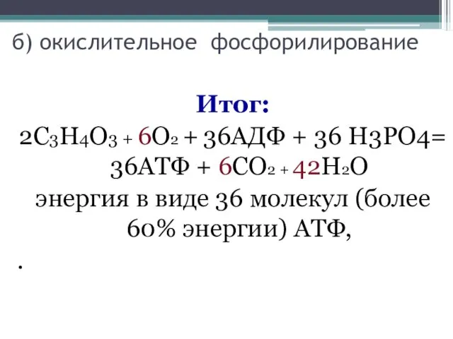 б) окислительное фосфорилирование Итог: 2С3Н4О3 + 6О2 + 36АДФ +