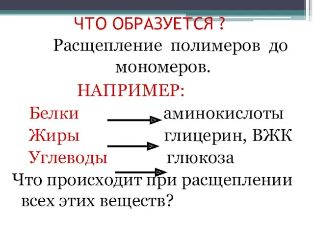 ЧТО ОБРАЗУЕТСЯ ? Расщепление полимеров до мономеров. НАПРИМЕР: Белки аминокислоты