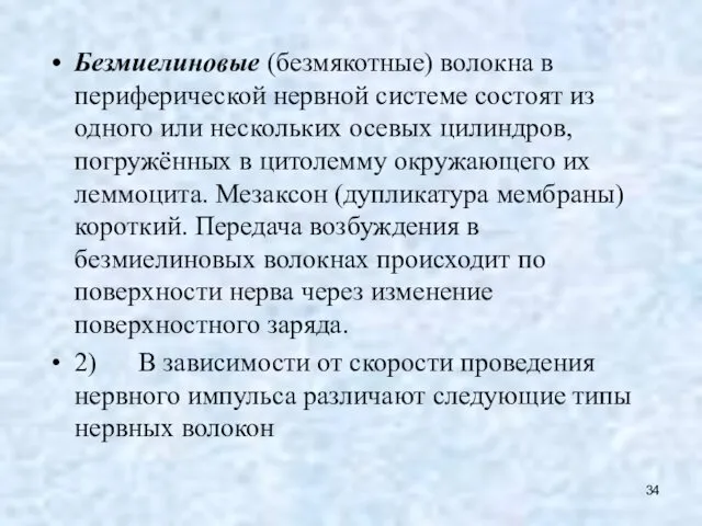 Безмиелиновые (безмякотные) волокна в периферической нервной системе состоят из одного