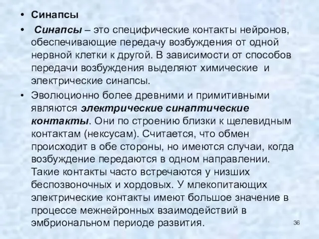 Синапсы Синапсы – это специфические контакты нейронов, обеспечивающие передачу возбуждения