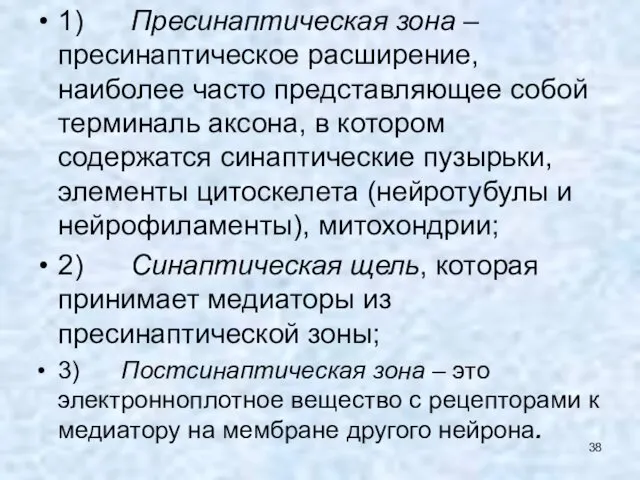 1) Пресинаптическая зона – пресинаптическое расширение, наиболее часто представляющее собой