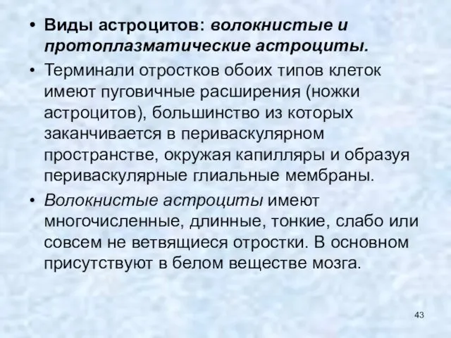 Виды астроцитов: волокнистые и протоплазматические астроциты. Терминали отростков обоих типов