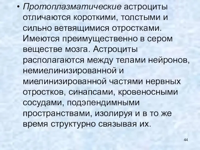 Протоплазматические астроциты отличаются короткими, толстыми и сильно ветвящимися отростками. Имеются