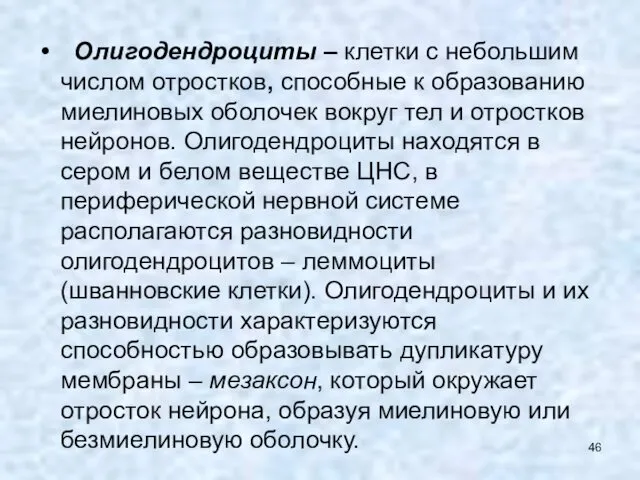 Олигодендроциты – клетки с небольшим числом отростков, способные к образованию