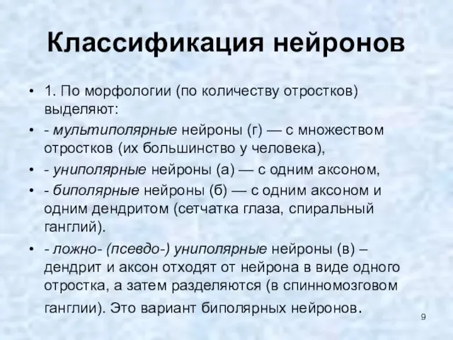 Классификация нейронов 1. По морфологии (по количеству отростков) выделяют: -