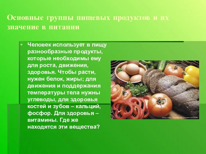 Основные группы пищевых продуктов и их значение в питании Человек