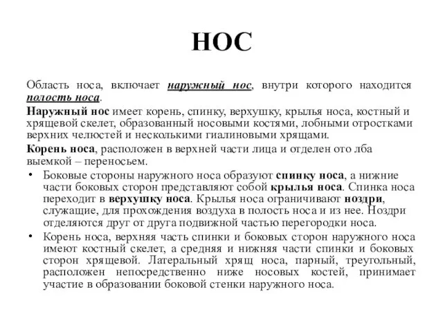 НОС Область носа, включает наружный нос, внутри которого находится полость