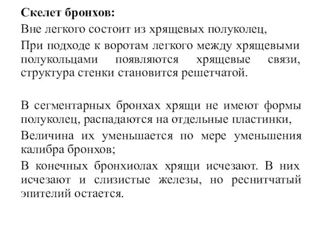 Скелет бронхов: Вне легкого состоит из хрящевых полуколец, При подходе