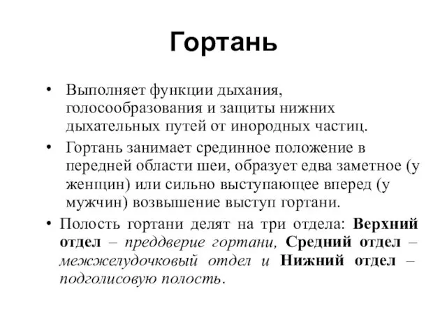 Гортань Выполняет функции дыхания, голосообразования и защиты нижних дыхательных путей