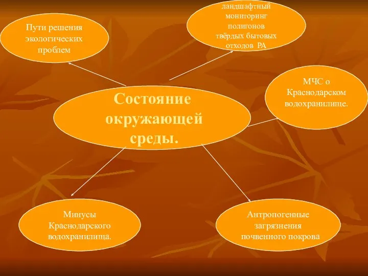 Состояние окружающей среды. Пути решения экологических проблем Эколого-ландшафтный мониторинг полигонов