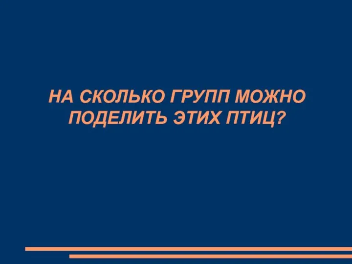 НА СКОЛЬКО ГРУПП МОЖНО ПОДЕЛИТЬ ЭТИХ ПТИЦ?