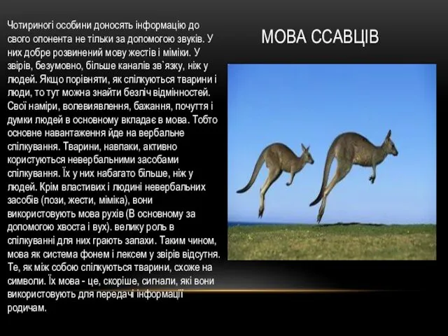 МОВА ССАВЦІВ Чотириногі особини доносять інформацію до свого опонента не