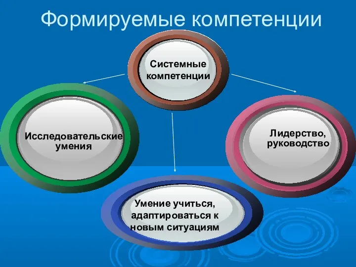 Системные компетенции Исследовательские умения Лидерство, руководство Умение учиться, адаптироваться к новым ситуациям Формируемые компетенции