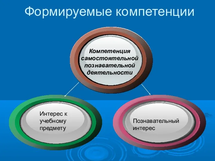 Компетенция самостоятельной познавательной деятельности Интерес к учебному предмету Познавательный интерес Формируемые компетенции