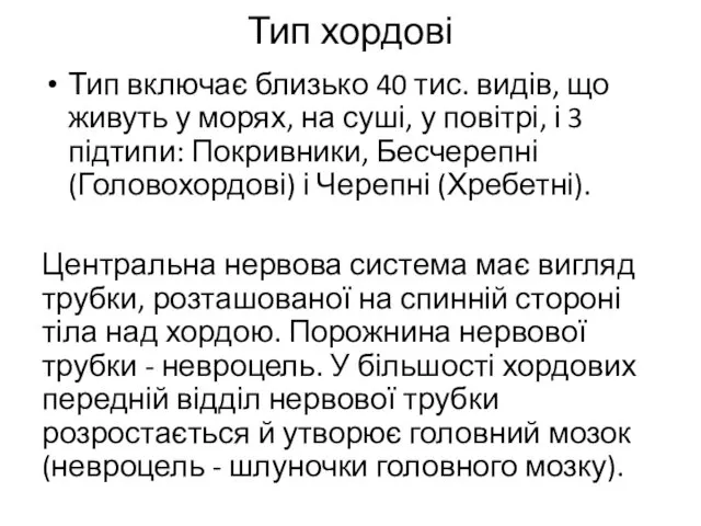 Тип хордові Тип включає близько 40 тис. видів, що живуть