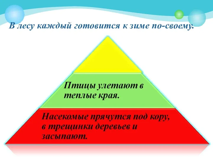 В лесу каждый готовится к зиме по-своему.