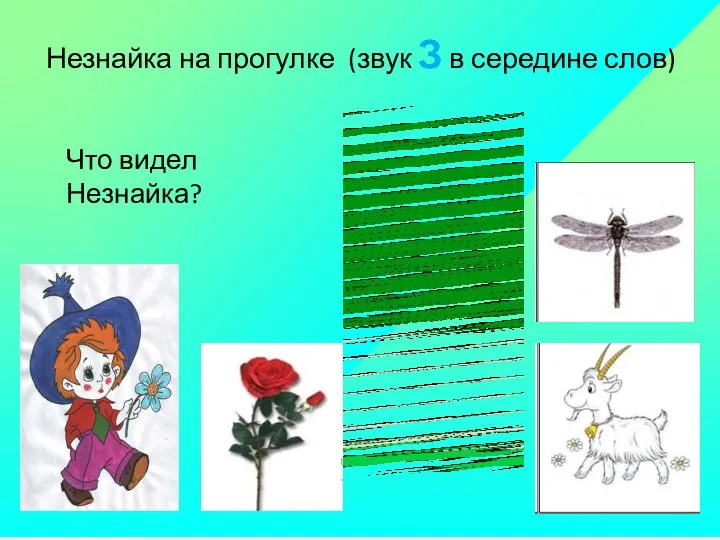 Незнайка на прогулке (звук З в середине слов) Что видел Незнайка?