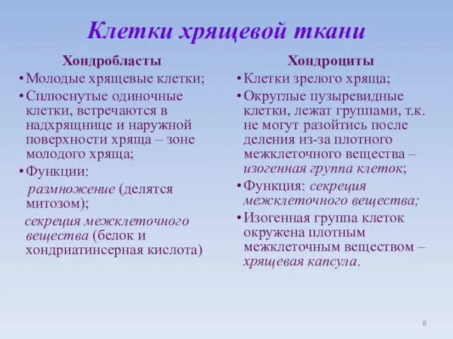 Клетки хрящевой ткани Хондробласты Молодые хрящевые клетки; Сплюснутые одиночные клетки,