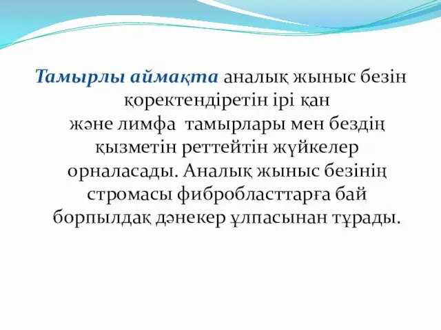 Тамырлы аймақта аналық жыныс безін қоректендіретін ірі қан және лимфа