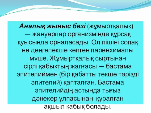 Аналық жыныс безі (жұмыртқалық) — жануарлар организмінде құрсақ қуысында орналасады.