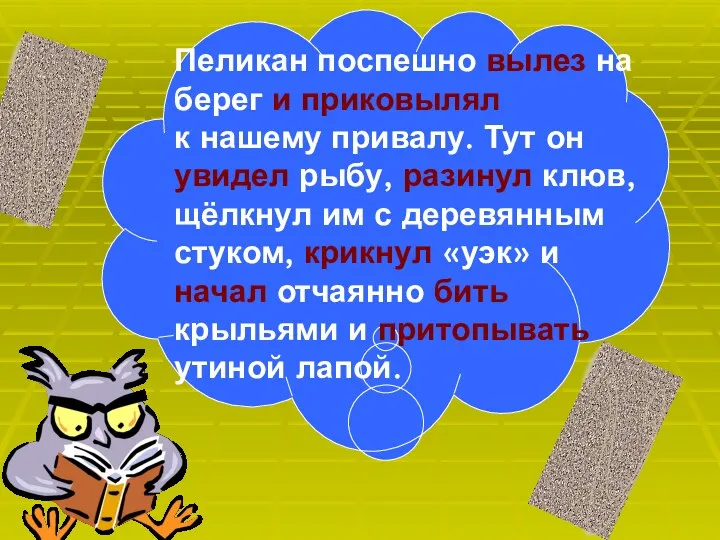 Пеликан поспешно вылез на берег и приковылял к нашему привалу.