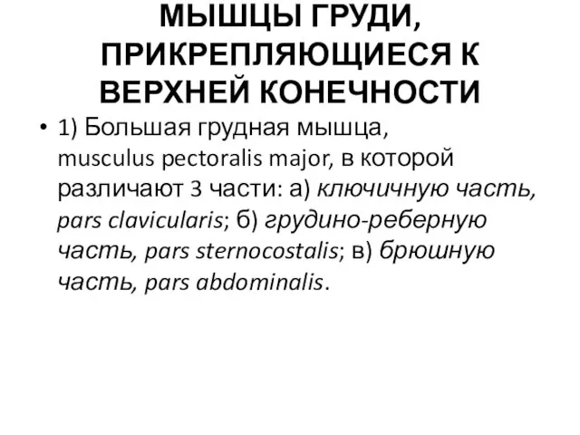 МЫШЦЫ ГРУДИ, ПРИКРЕПЛЯЮЩИЕСЯ К ВЕРХНЕЙ КОНЕЧНОСТИ 1) Большая грудная мышца,