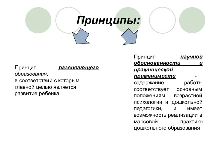 Принципы: Принцип развивающего образования, в соответствии с которым главной целью