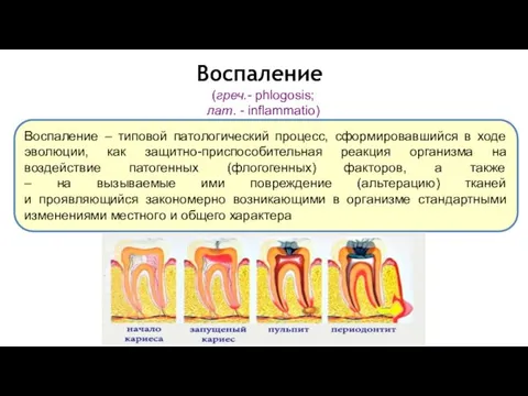 (греч.- phlogosis; лат. - inflammatio) Воспаление – типовой патологический процесс, сформировавшийся в ходе