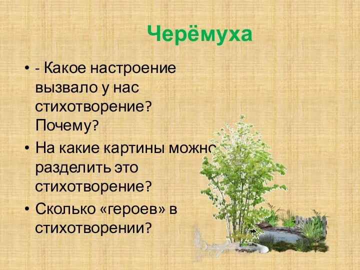 Черёмуха - Какое настроение вызвало у нас стихотворение? Почему? На какие картины можно