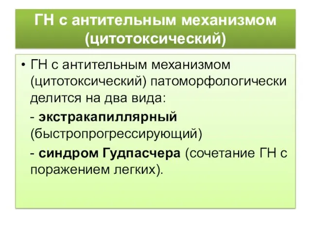 ГН с антительным механизмом (цитотоксический) ГН с антительным механизмом (цитотоксический)