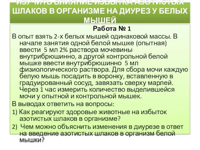 ИЗУЧИТЬ ВЛИЯНИЕ ИЗБЫТКА АЗОТИСТЫХ ШЛАКОВ В ОРГАНИЗМЕ НА ДИУРЕЗ У