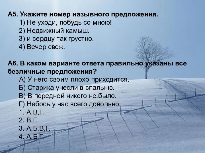 А5. Укажите номер назывного предложения. 1) Не уходи, побудь со