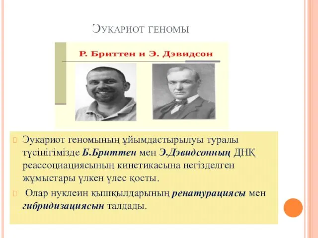 Эукариот геномы Эукариот геномының ұйымдастырылуы туралы түсінігімізде Б.Бриттен мен Э.Дэвидсонның