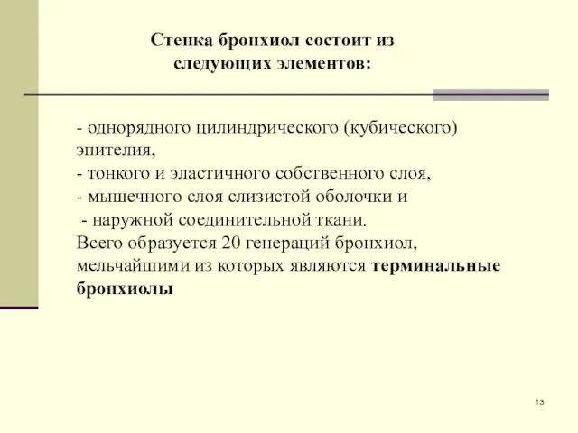 - однорядного цилиндрического (кубического) эпителия, - тонкого и эластичного собственного