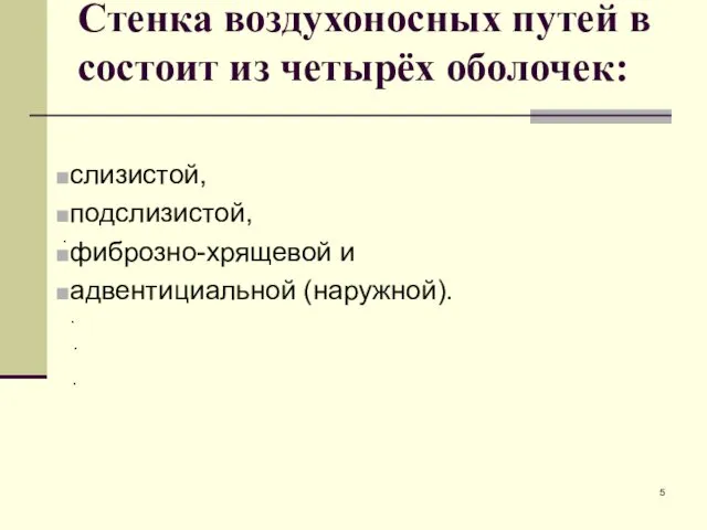 Стенка воздухоносных путей в состоит из четырёх оболочек: слизистой, подслизистой,