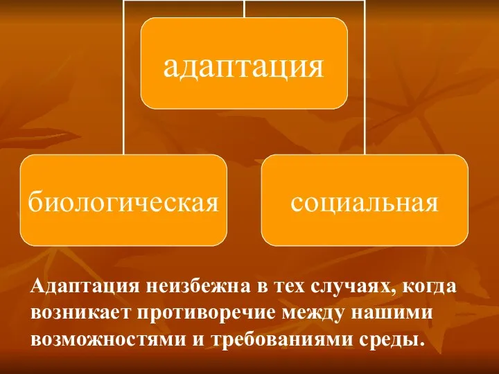 Адаптация неизбежна в тех случаях, когда возникает противоречие между нашими возможностями и требованиями среды.