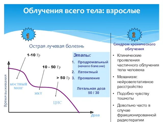 Облучения всего тела: взрослые Острая лучевая болезнь Синдром хронического облучения