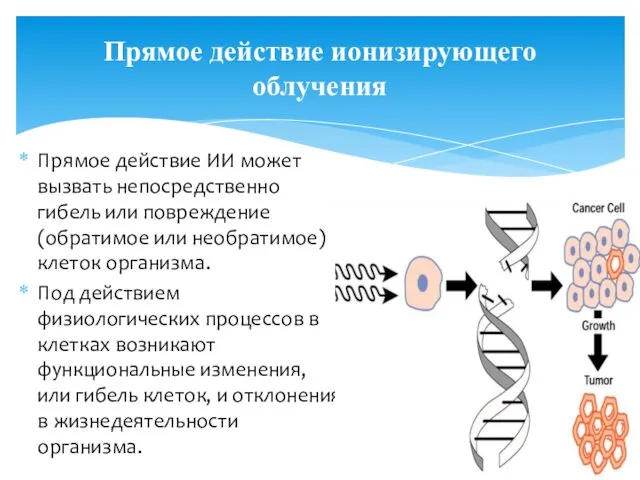 Прямое действие ионизирующего облучения Прямое действие ИИ может вызвать непосредственно гибель или повреждение