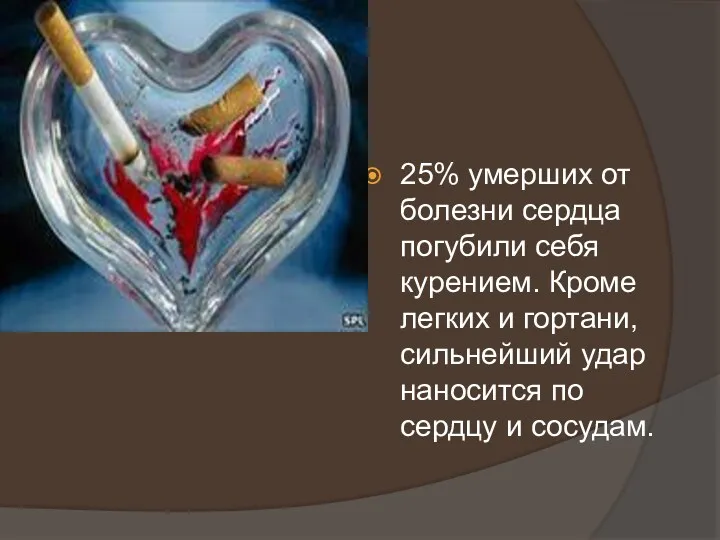 25% умерших от болезни сердца погубили себя курением. Кроме легких и гортани, сильнейший