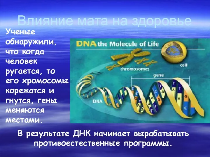 В результате ДНК начинает вырабатывать противоестественные программы. Влияние мата на здоровье Ученые обнаружили,