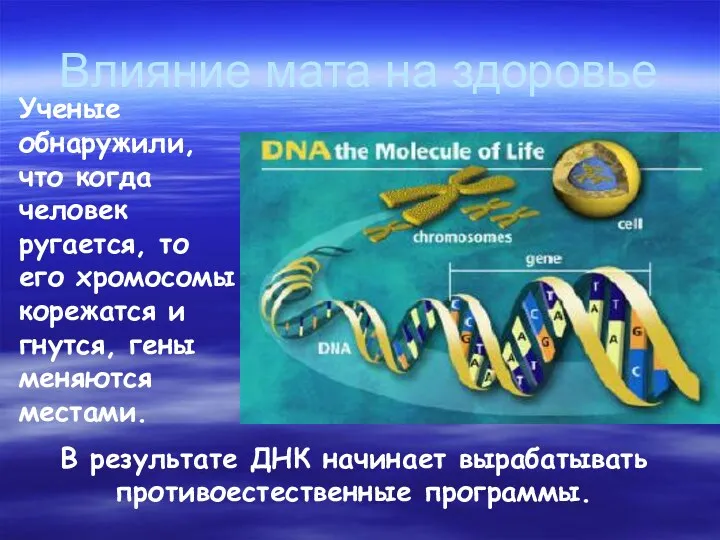 В результате ДНК начинает вырабатывать противоестественные программы. Влияние мата на